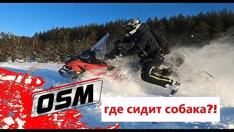 Снегоход ОСМ СМ 1000 - сколько жрёт, прёт, как охлаждается и где сидит собака - полная версия теста!